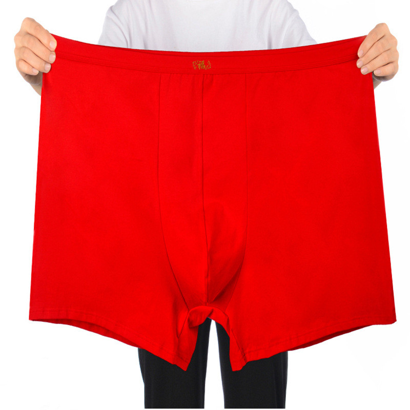 Intimo uomo in puro cotone ove - Boxer Brief Pack Cotton recensione e prezzo